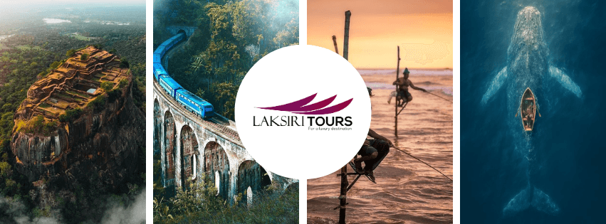 tour package image