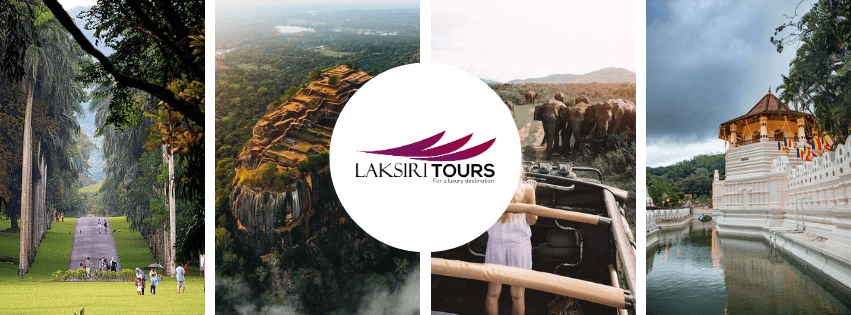 tour package image